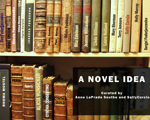 A Novel Idea - curated by Anne LaPrade Seuthe and Sally Curcio