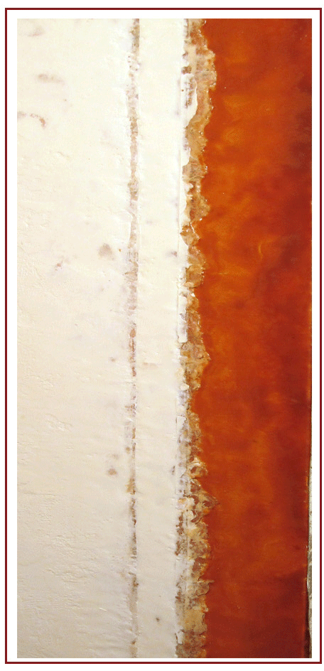 Shifting Sue Katz