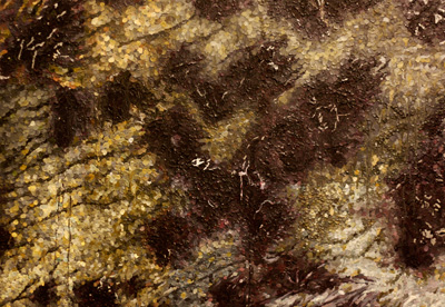 Ariadne Zamelis: Epidermis Dec 4 - Dec 9