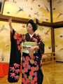 Art of the Geisha