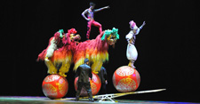 National Acrobats of China