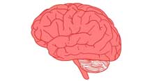 Pick My Brain