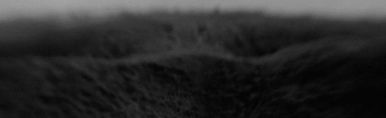 Sondra Peron - Atrocity Landscapes