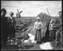 Crimea