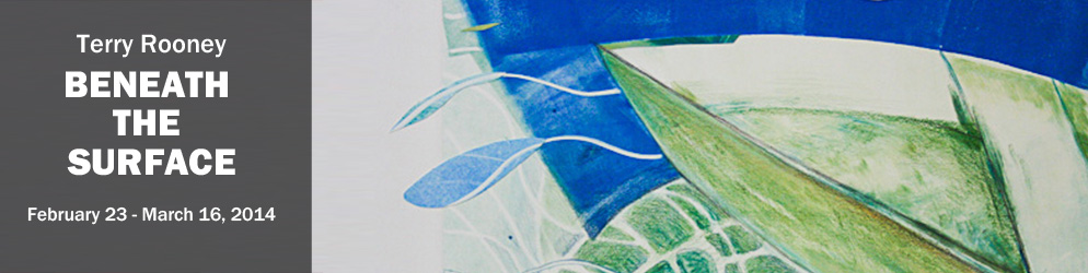 Terry Rooney: Beneath the Surface February 23 - March 16, 2014