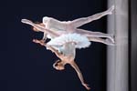 Suzanne Farrell Ballet