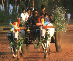 Alankara: Arts in India Tour
