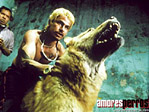 Amores Perros