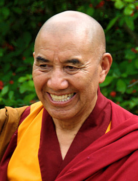 Wisdom through the Buddhist Mahayana Path
