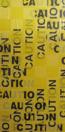 Alexia Cota: Proceed With Caution