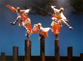 Shaolin Warriors