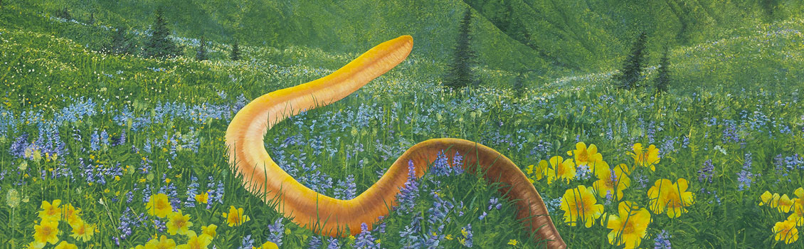 Mythologies by Rina Goldfield