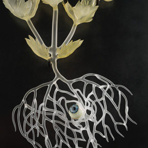 Frosted white blown glass on a pitch black background. The white glass starts at the top with a single stem and pale green leaves, then branches out to the bottom in several off-shoots. A glass eyeball is nestled in the center of the off-shoots. It has thin blood vessels running through it, and the iris is a mix of calm blues.