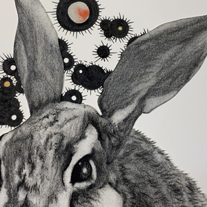 One of Margie Rothermich's artworks. A realistic rabbit drawn with what appears to be charcoal in the bottom half. Behind it are black dots with varying lengths of lines extending from them. Some dots have a colorful center.