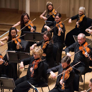 Scottish Chamber Orchestra - a view of the string section with 10ish musician in black with music stands in front of them.