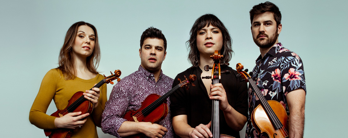 Four people on a light blue background holding string instruments
