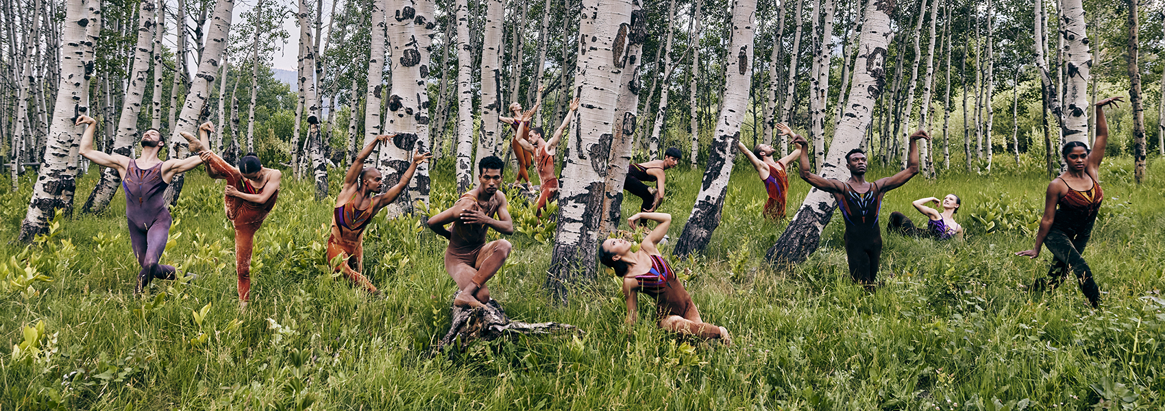 Dancers from the Limon Dance company are picture striking poses in a forest of birch trees.