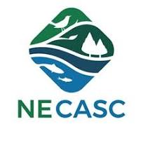 NE CASC logo