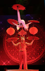 Shanghai Acrobats