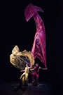 Airplay - Photo credit: Florence Montmare