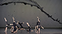 Jessica Lang Dance