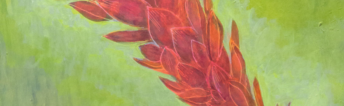 Image by Anne Laprade Seuthe
