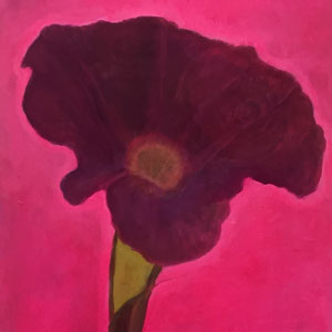 Image by Anne Laprade Seuthe