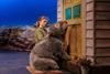 Diary of a Wombat Photo by Robert Catto