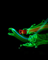 Lightwire Theater: Dino-Light