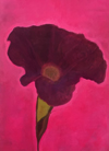 Volunteer by Anne Laprade Seuthe